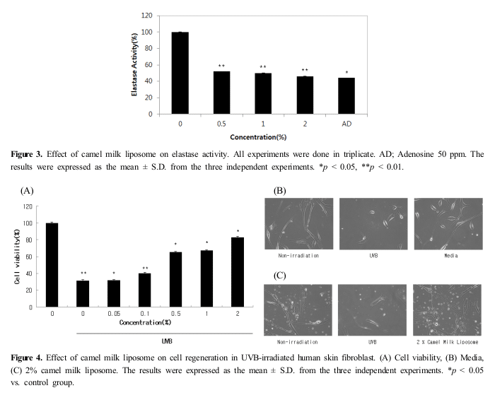 effect of camel milk cosmetic 3 effect of camel milk cosmetic 3