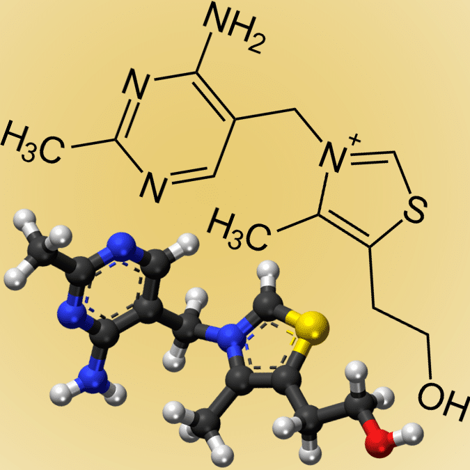 Vitamine B1 / thiamine
